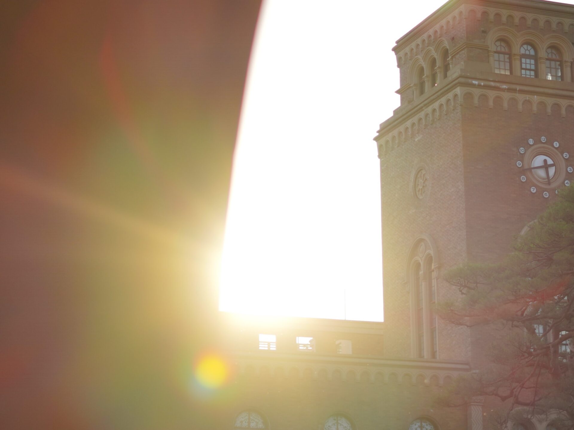 研究支援・研究IR情報